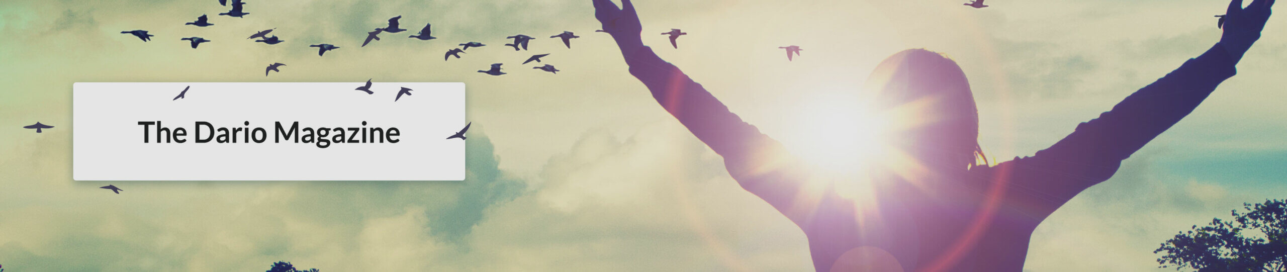 Magazine-Header-Image