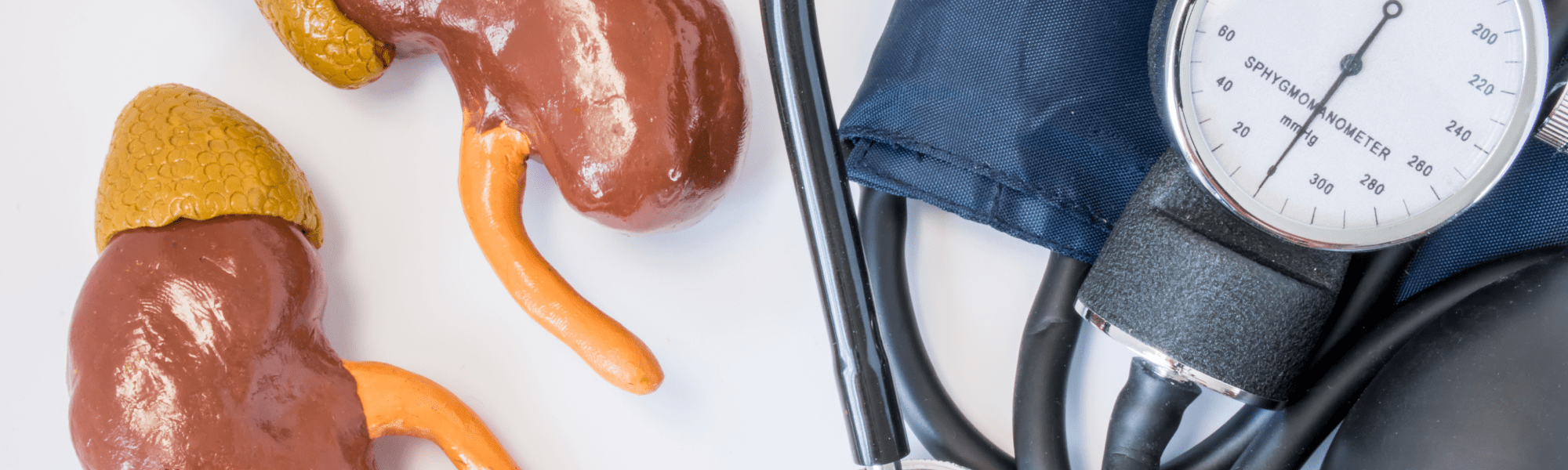 High blood pressure and your kidneys DarioHealth