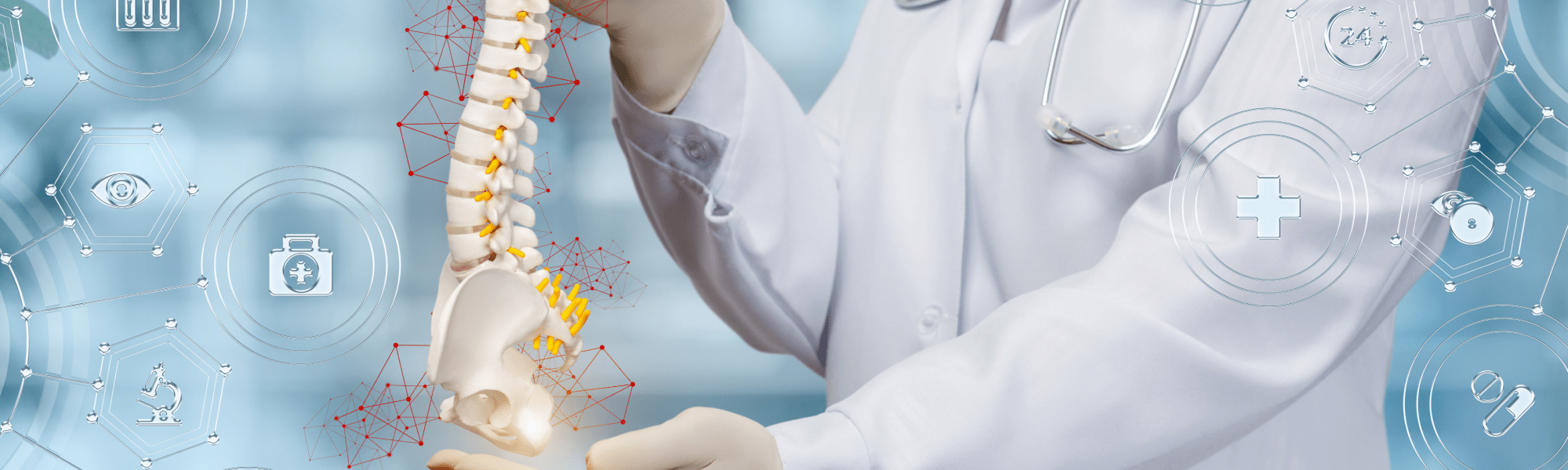 Anatomy of the Spine DarioHealth